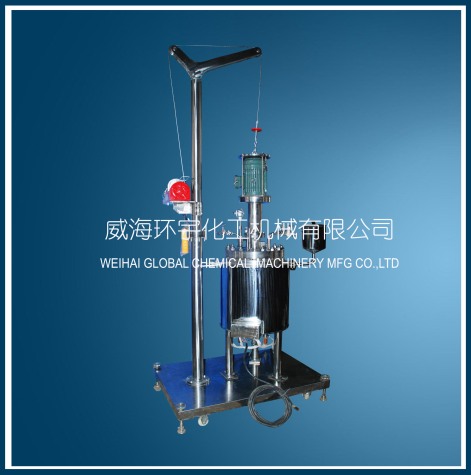 浙江30L電機直聯(lián)升降反應(yīng)釜